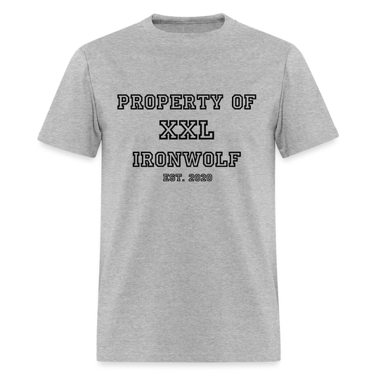 Old-School Property Of Ironwolf T - heather gray