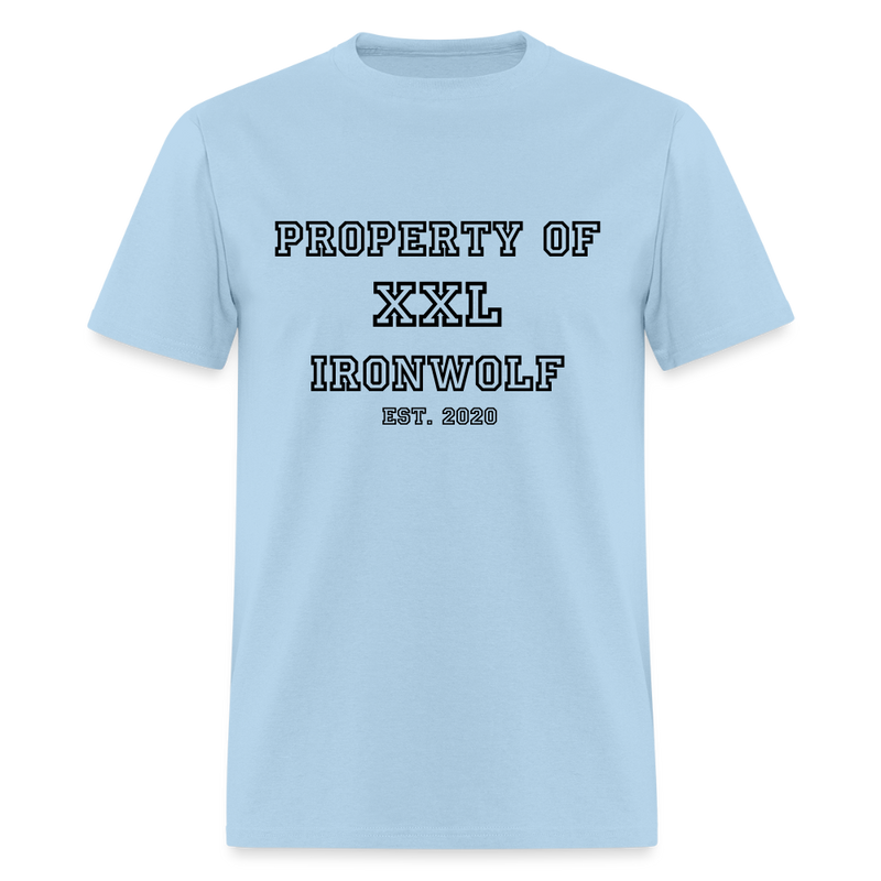 Load image into Gallery viewer, Old-School Property Of Ironwolf T - powder blue
