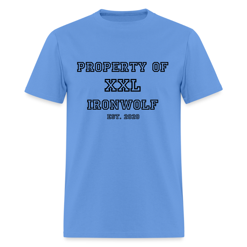 Load image into Gallery viewer, Old-School Property Of Ironwolf T - carolina blue

