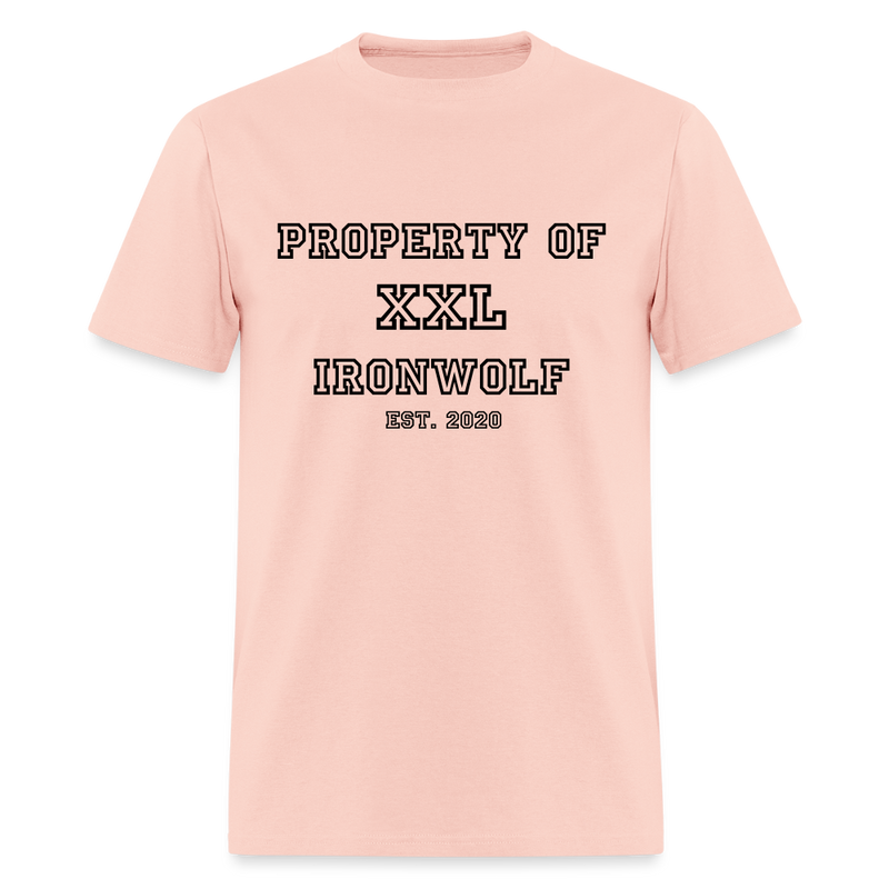 Load image into Gallery viewer, Old-School Property Of Ironwolf T - blush pink 
