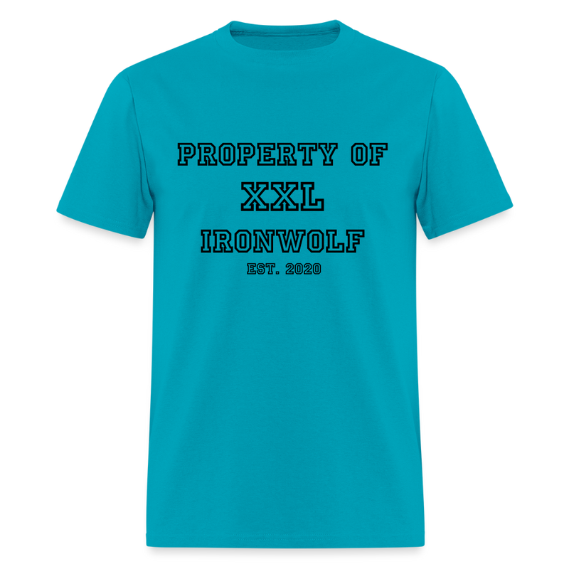 Load image into Gallery viewer, Old-School Property Of Ironwolf T - turquoise

