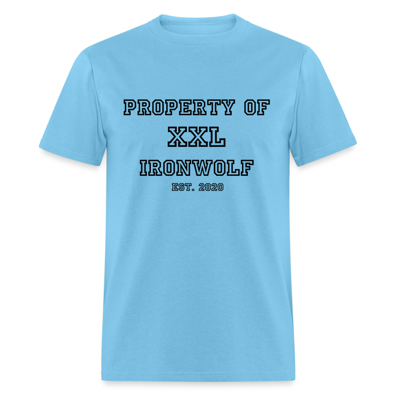 Load image into Gallery viewer, Old-School Property Of Ironwolf T - aquatic blue
